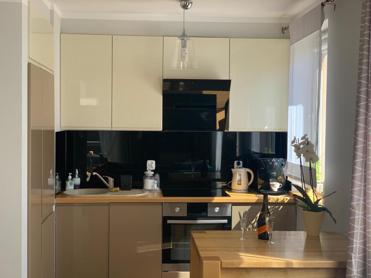 קולובז'ג Malva Sun Dog Friendly Apartment With Garden מראה חיצוני תמונה